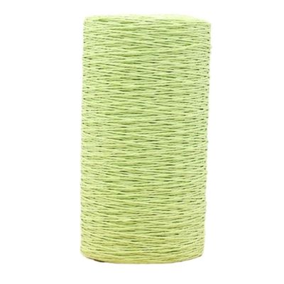 460g Raffia Straw Yarn Handmade Knitting Hat Bags Crocheting Yarn for Handcrafts Material Accessory(Fruit Green)