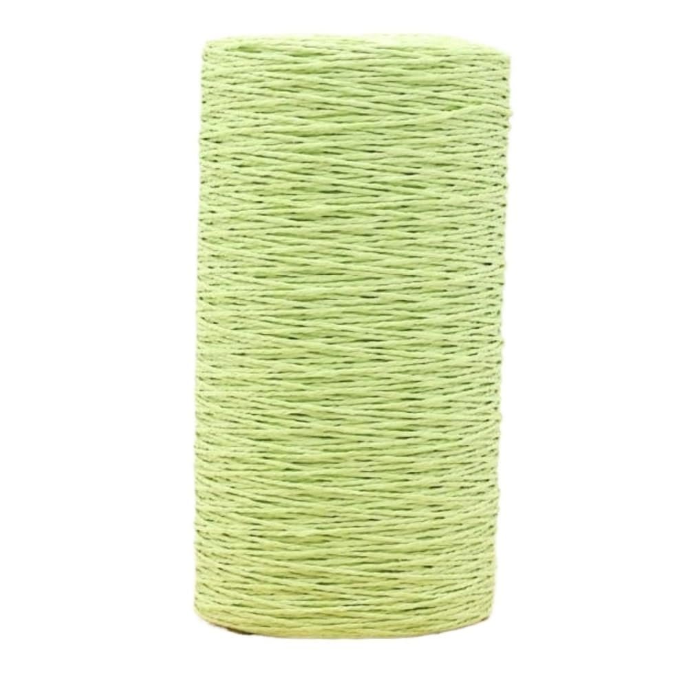 460g Raffia Straw Yarn Handmade Knitting Hat Bags Crocheting Yarn for Handcrafts Material Accessory(Fruit Green)