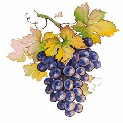 Purple Grape Cluster Grapes Overglaze Waterslide Ceramic Decals 1.75 Inch (6 Decals)