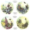 Butterfly Kingdom Garden Set of 4 pcs 7-1/2" Overglaze Waterslide Ceramic Decals view 1