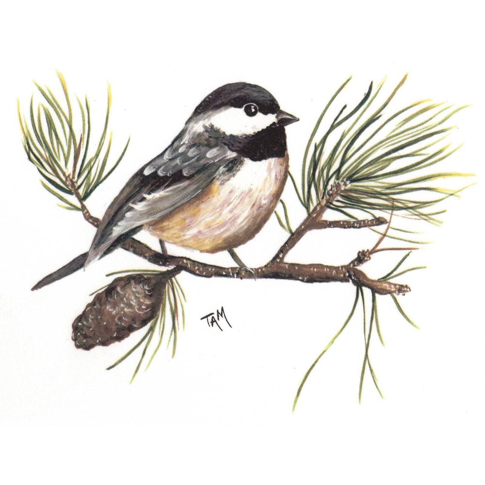 Chickadee Pine Branch Overglaze Ceramic Decals 6.5 Inch (2 Decals)