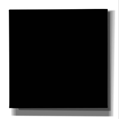 Epic Art Group Artist Cotton Stretched Matte Black Canvas, 20"x40"x1.5" Great for Watercolor