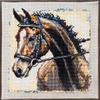 Portrait of Dressage Horse DIY 5D Diamond Paint Kits for Adults Round Full Drill Diamond Art Painting Easy for Beginner Gems Cross Stitch Mosaic Craft for Home Decor 16x16inch(4) view 1