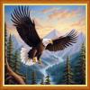 Foxhool Stamped Cross Stitch Kits,11CT Printed Cross Stitch Pattern Full Embroidery Kits for Beginner Needlepoint Kits-Eagle Flying 16x20 inch view 1