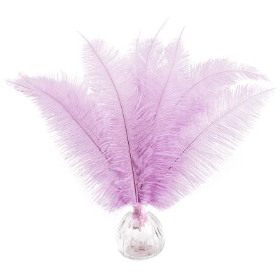 SendyFeather 50pcs Natural Lavender Ostrich Spads Feather 14-16inch (35-40cm) Bulk Feathers for Crafts Flowers Vase Wedding Party Centerpiece Decoration