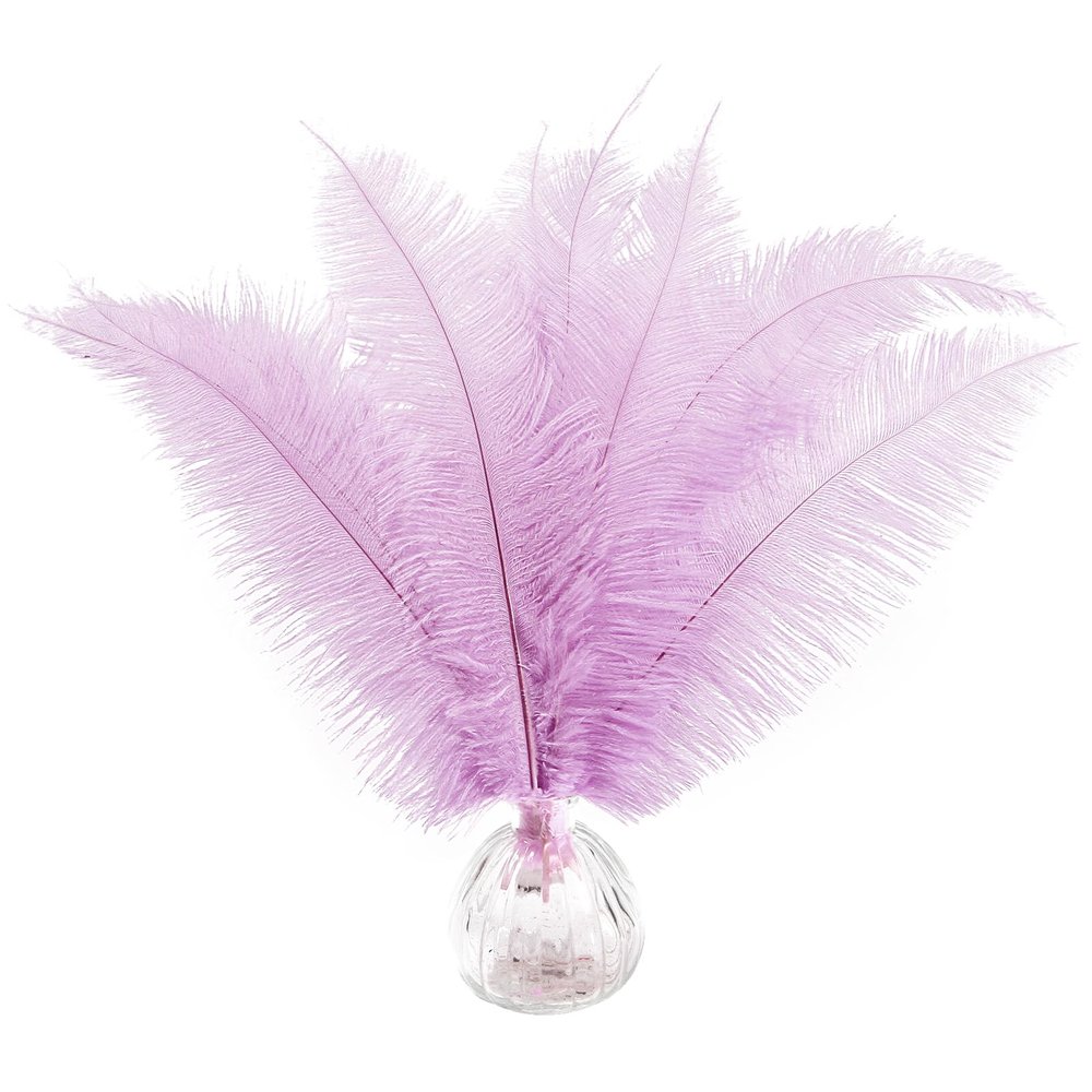 SendyFeather 50pcs Natural Lavender Ostrich Spads Feather 14-16inch (35-40cm) Bulk Feathers for Crafts Flowers Vase Wedding Party Centerpiece Decoration