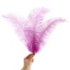 SendyFeather 50pcs Natural Lavender Ostrich Spads Feather 14-16inch (35-40cm) Bulk Feathers for Crafts Flowers Vase Wedding Party Centerpiece Decoration view 3