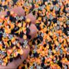 Halloween Polymer Clay, Halloween Candy Fake Sprinkle Mix, Polymer Clay, Resin Supplies, Halloween, Cute Craft Supplies, 15 Gram Bag view 1