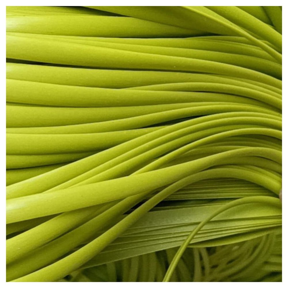 Queenbox 5mm 196 feet Plastic Flat Rattan, Wicker Knit Weaving Material for Bag Chair Sofa Basket Furniture Repair, Fruit Green