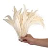 100PCS Feathers 25-40CM Natural Plumes, Black Red DIY Cock Clothing, Jewelry Party Accessories Dark Green 12-14inch 30-35cm view 3