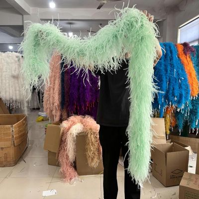 1/1.5/2M Fluffy Natural Feather Boa, 10/15Ply Ostrich Feathers Trim, Wedding Party Shawl, Customizable Mint Green 1M 15PLY