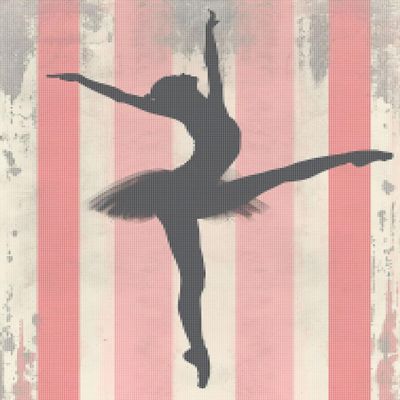 CISDKK Adults Printed Cross Stitching,Counted Cross Stitch Patterns,Modern Dance,Jazz,Ballet,Dance,Girls,Dance Room,Girls Quotes,11CT17.33 * 21.65 inch