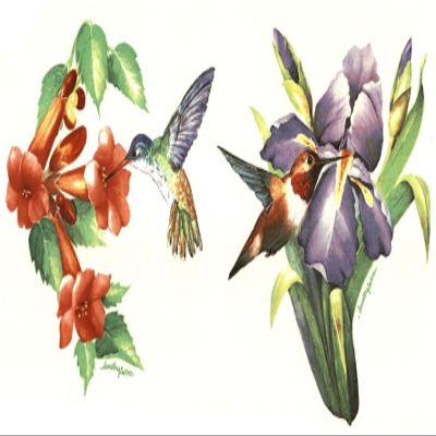 Hummingbird Iris Flower Overglaze Waterslide Ceramic Decals 2.5 Inch (4 Decals)