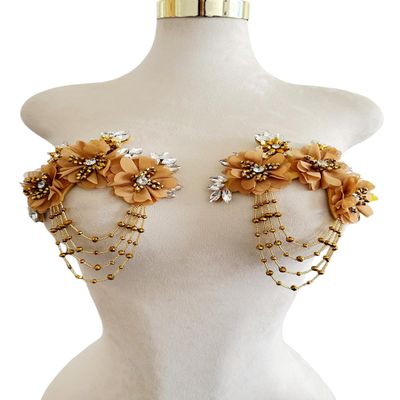 Akiko.CC 3D Three-Dimensional Flower Rhinestone Applique Sewing Shining Beads Stones Trim Crystal Fringe Patches for Dress Bridal DIY Crafts 2pcs/Set 5.5X6.8inches (Champagne)