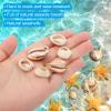 PATIKIL Natural Seashell Charm, 20 Pcs Oval Dyed Shell Craft Pendants with Hole Shell Connection for Necklace DIY Ocean Jewelry Making, Gold/Silver view 3