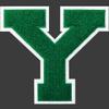 SOYCEV 4.5" Varsity Letter Patches Chenille Iron on Letters Large Letterman Jacket Patches for Clothing/Jacket/Varsity/Bag (Green, Y) view 1