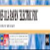 Hasegawa 1/72 USA EF-111A Raven Electric Fox Plastic Model 02483 (Airplane) view 4