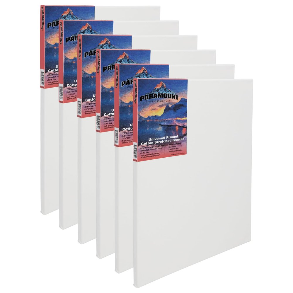 Paramount Canvas for Painting - Pack of 6, 12x12 White Canvases- 11/16" 100% Cotton Stretched Canvas, Triple-Primed for All Media, Medium Tooth, Back-Stapled, 12oz Primed Weight, Wood Stretcher Bars