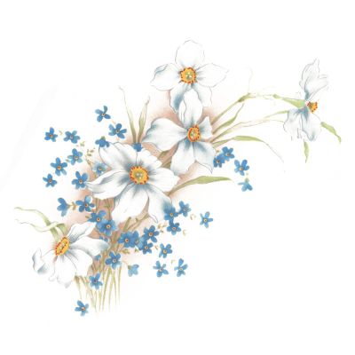 Dogwood and Forget Me Knot Overglaze Waterslide Ceramic Decals 8 Inch (1 Decal)