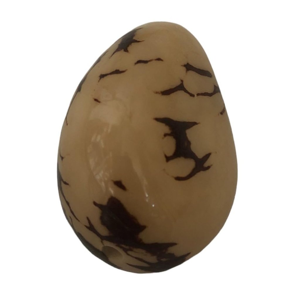 1 x Fair Trade Ecuador Tagua Nut | Vegan Ivory | Mini Marbled 3-4cm