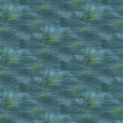 Northcott Northwood Naturescapes by Hautman Brothers DP27545 78 Water Fabric