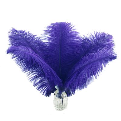 Ballinger Royal Blue Ostrich Feathers - 24Pcs 8-10inch Craft Feathers for Party Centerpieces, Flower Arrangement and Home Decor