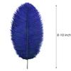Ballinger Royal Blue Ostrich Feathers - 24Pcs 8-10inch Craft Feathers for Party Centerpieces, Flower Arrangement and Home Decor view 3