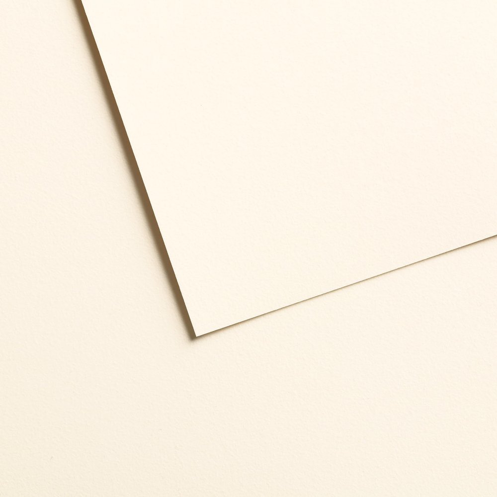 Canson Mi-Teintes Velvet Drawing Paper Sheet, White, (260lb/430g), 1 Sheet, 19.69x25.6 inch, 1 Count