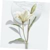 PAMINGONO 50pcs Flower Water Tubes Nutrient Storage Containers for Fresh Flowers Essential Florist Supplies Leak Design for Freshness view 3