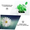 PAMINGONO 50pcs Flower Water Tubes Nutrient Storage Containers for Fresh Flowers Essential Florist Supplies Leak Design for Freshness view 4