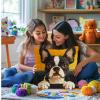 DIY Latch Hook Pillow Kits for Adults Cute Boston Terrier Dog in Car Printed Pillowcase Crochet Yarns Hooking Handmade Pillow Cover Cushion for Home Sofa Decoration 17x17inch(1) view 4