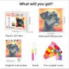 DIY Latch Hook Pillow Kits for Adults Schnauzer Dog with Sunset Printed Pillowcase Crochet Yarns Hooking Handmade Pillow Cover Cushion for Home Sofa Decoration 17x17inch-4 view 2