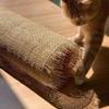 16" (1.3Feet) Width x 11.5 Feet Length Natural Rattan Roll, Rattan Cane Webbing Roll, Rattan, Caning Material, Rattan Fabric, Rattan Webbing, Rattan Material from Origin Asia for Cane Chair Furniture view 2