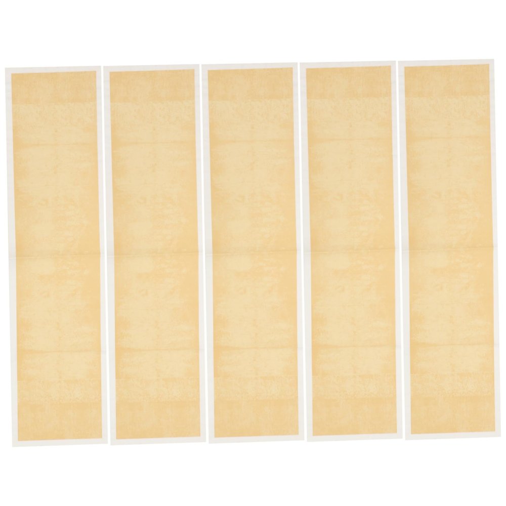 CORHAD Paper Calligraphy and Painting Stationery Set 5 Sheets of Authentic Chinese Calligraphy Sulies