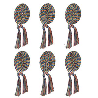 Erligo 2Pcs/ 6Pcs Graduation Multi Color Braided Honor Cords with Tassel for High School Bachelor Master Doctor 68" Long (6, Royal Blue Orange Green)
