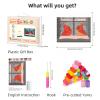 Cardinal Bird Window Snow Latch Hook Rug Kit for Adults Pre-Printed Handmade Carpet Crochet Yarn Craft DIY Hook and Latch Door Mat Tapestry Home Floor Decoration 52x38cm(2) view 2