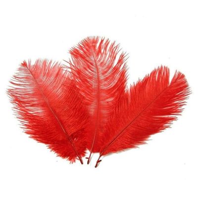 10 Pcs 15-20Cm Colored Ostrich Feathers For Decoration Diy Jewelry Crafts White Ostrich Feather Decor Accessories Wedding Plumas - (Color: Red)