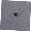 CORHAD 20pcs Tree Rivets DIY Studs Rivets for Punk Style Clothing Accessories Metal Screw Back for Shoes view 3