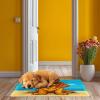 Latch Hook Rug Kit for Adults Cute Cartoon Cocker Spaniel Dog on Beach Pre-Printed Handmade Carpet Crochet Yarn Craft DIY Hook and Latch Door Mat Tapestry Home Floor Decoration 52x38cm(1) view 4