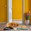 Latch Hook Kit Rug for Adults Siberian Huskies Dog with Snow Pre-Printed Handmade Carpet Crochet Yarn Craft DIY Hook and Latch Door Mat Tapestry Home Floor Decor 52x38cm-1 view 4