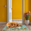 Latch Hook Kit Rug for Adults Cute Shih Tzu Dog Running in Flowers Pre-Printed Handmade Carpet Crochet Yarn Craft DIY Hook and Latch Door Mat Tapestry Home Floor Decor 52x38cm-20 view 4