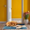 Latch Hook Rug Kit for Adults Maltese Dog Sleeping on Sofa Pre-Printed Handmade Carpet Crochet Yarn Craft DIY Hook and Latch Door Mat Tapestry Home Floor Decoration 60x40cm(4) view 4
