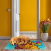 Latch Hook Rug Kit for Adults Golden Retriever Dog with Angel Wing Pre-Printed Handmade Carpet Crochet Yarn Craft DIY Hook and Latch Door Mat Tapestry Home Floor Decoration 60x40cm(8) view 4
