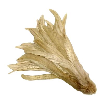 Gumney 100PCS Rooster Tail Feathers, 11.81-13.77 Inch Natural Feathers for Wedding Holiday Themed Party Hats Costume Decoration DIY Crafts, Light Gold