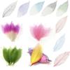 FytStycale 50 Pack of Natural Magnolia Skeleton Leaves for Craft Projects, Green+White view 3
