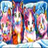 Wizardi Needlepoint Canvas for halfstitch Without Yarn The Cats SE934.01 Seg De Paris view 1