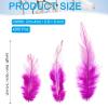 PATIKIL 3-5 Inch Rooster Feathers, 200 Pack Bulk Natural Feathers for Crafts Colorful Fluffy Craft Feathers for Dream Catcher Handwork Clothing Costumes Wedding, Rose Red view 2