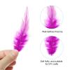 PATIKIL 3-5 Inch Rooster Feathers, 200 Pack Bulk Natural Feathers for Crafts Colorful Fluffy Craft Feathers for Dream Catcher Handwork Clothing Costumes Wedding, Rose Red view 3