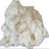 Raw Cotton Batting/Stuffing Arizona Grown (6 Pounds) view 1