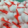 Cotton Wicks for Diya, Round Shape Handmade Ghee Wick for Puja, Long Diya Phool Batti for Deepam Pack of 100 view 1